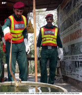 174 snake bite victims saved during flood 174 snake bite victims saved during flood