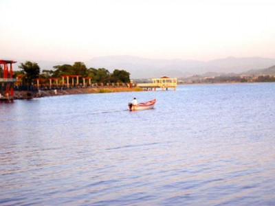 poisoning of rawal lake police will send water dead fish samples to lab