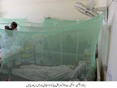 health department plans to lay off 200 dengue workers health department plans to lay off 200 dengue workers