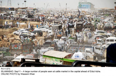 eidul azha preparations residents want court to stay cattle market