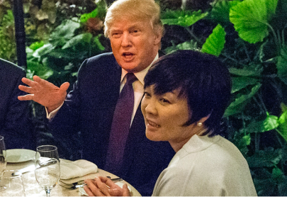 did japan s first lady pretend she doesn t understand english to avoid trump