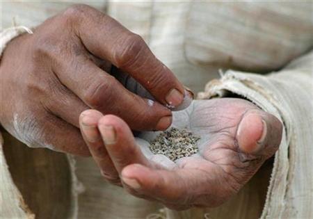 chewing tobacco photo reuters