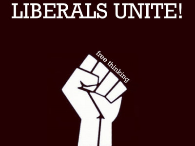 i m a liberal deal with it
