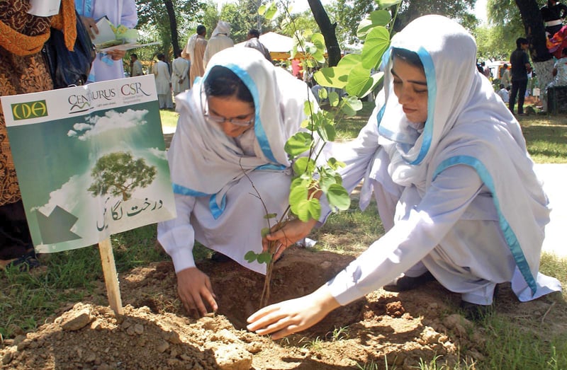 students take part in a tree plantation drive in islamabad photo file