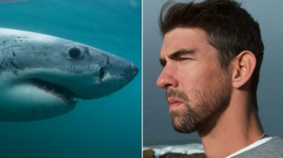 michael phelps loses race to great white shark