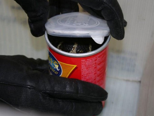 a king cobra snake seen in a container of chips in this udated handout photo obtained july 25 2017 photo reuters a king cobra snake seen in a container of chips in this udated handout photo obtained july 25 2017 photo reuters
