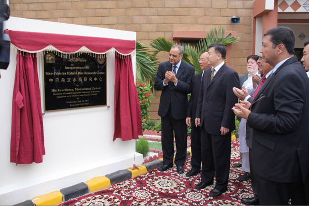 scientists from pakistan and china attended the inauguration of the sino pakistan hybrid rice research centre at karachi university photo courtesy karachi university