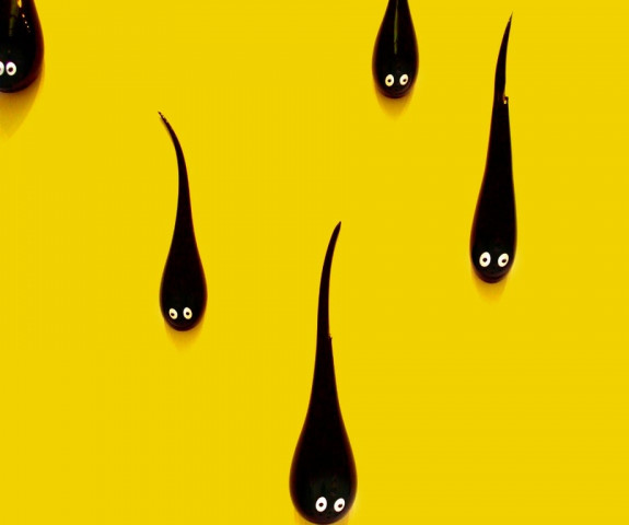 sperm count sharply declining photo file sperm count sharply declining photo file