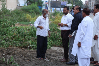 100 000 trees to be planted in district central by 2017 end says dmc chairperson 100 000 trees to be planted in district central by 2017 end says dmc chairperson