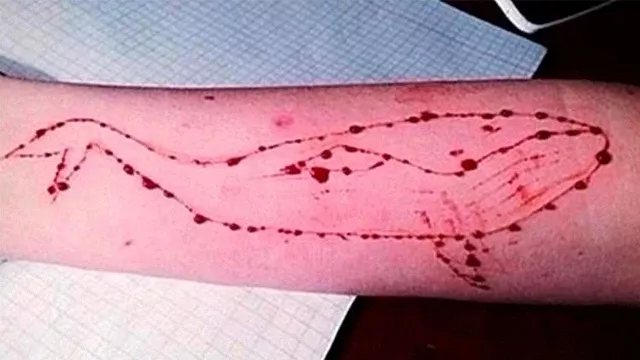 the blue whale challenge photo youtube the blue whale challenge photo youtube