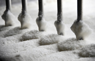 sugar exports unviable without subsidy say millers