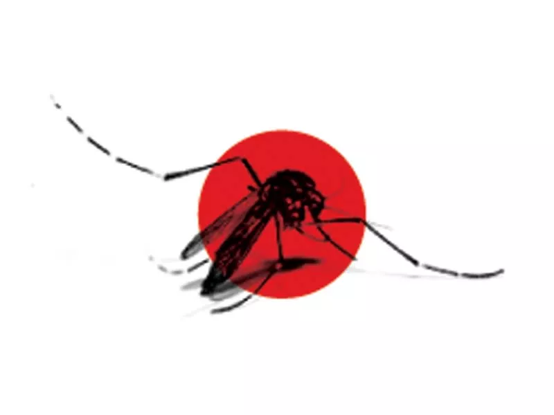 dengue alarm jui f urges govt to take emergency measures dengue alarm jui f urges govt to take emergency measures