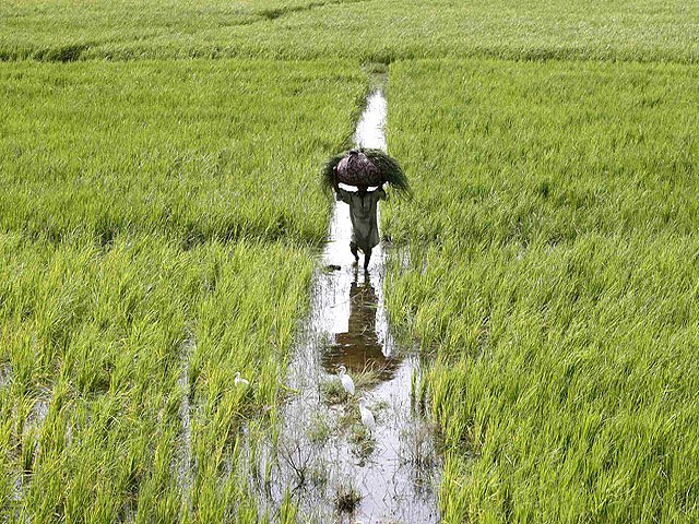 in the first phase 50 000 acres of barren land will be converted into cultivable fields photo reuters