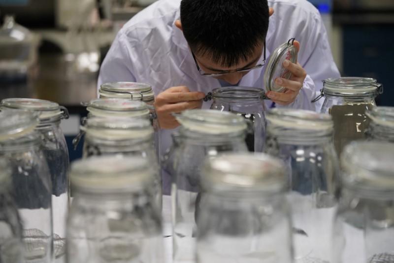 an employee conducts an quot odor test quot at a polymer laboratory photo reuters