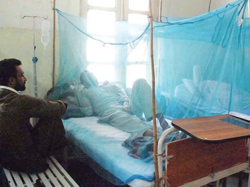 third dengue death reported in k p