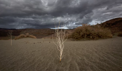 us federal department censoring use of term climate change us federal department censoring use of term climate change
