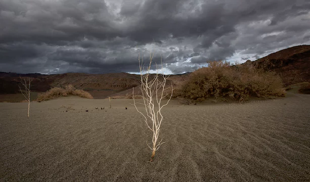 photo theguardian