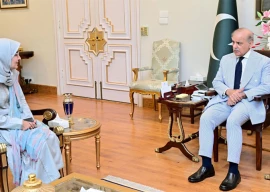pm shehbaz reaffirms continued support for dr aafia s family