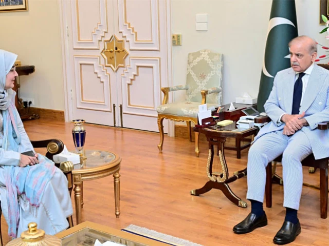 prime minister shehbaz sharif meets dr fouzia siddiqui sister of dr aafia siddiqui in islamabad on july 25 2025 photo radio pakistan