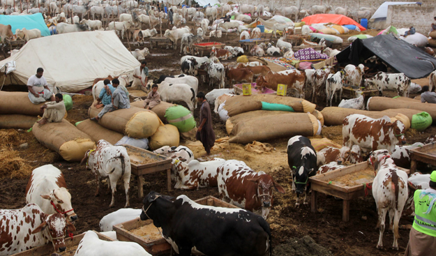 this is the second religious festival after eidul fitr which muslims across th globe will celebrate under the shawdow of covid 19 pandemic photo file