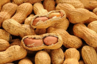 pakistani chinese firms to upgrade peanut seeds