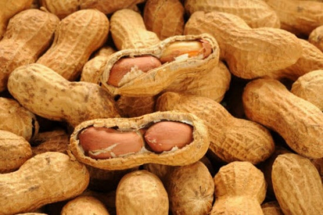 peanuts photo afp peanuts photo afp