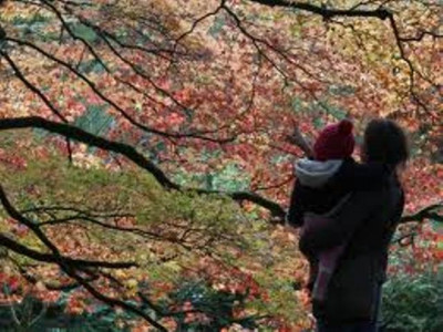 is adoption an option