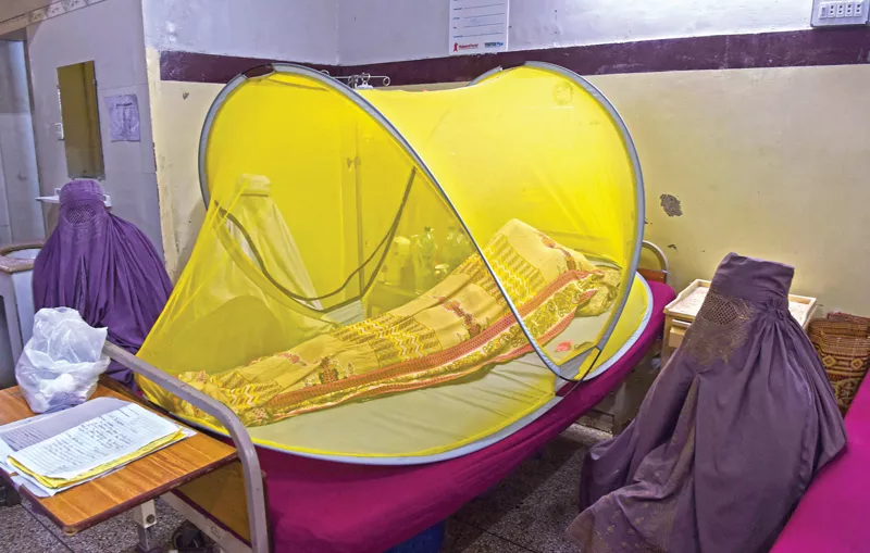 a dengue patient rests next to relatives inside a mosquito tent in peshawar photo afp a dengue patient rests next to relatives inside a mosquito tent in peshawar photo afp