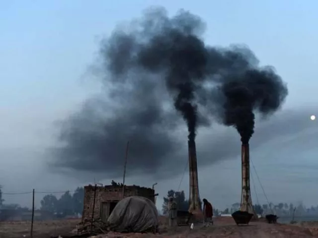 the ministry of climate change plans to enter into an agreement with a coalition of ngos named civil society coalition photo express