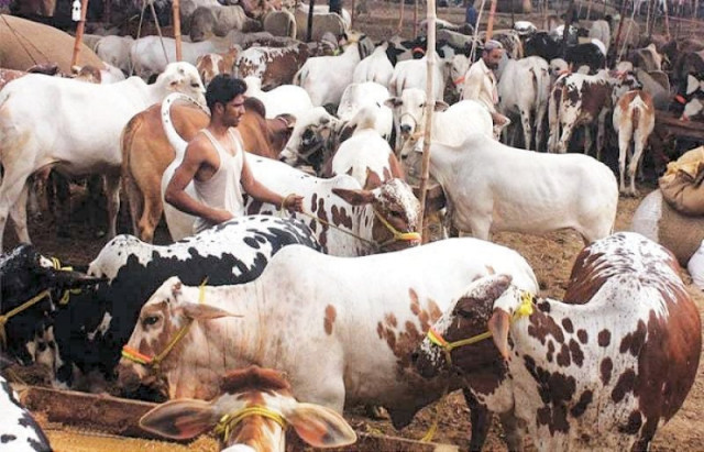 traders blame high transport and swelling input costs for increase photo file traders blame high transport and swelling input costs for increase photo file