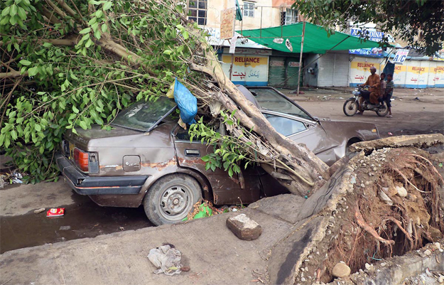 the thunderstorm caused chaos in the city as it uprooted trees in many areas photo online