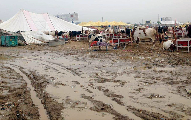 around 10 heavy duty suction pumps and bowsers are currently being used in the market to drain out the inundated water photo inp