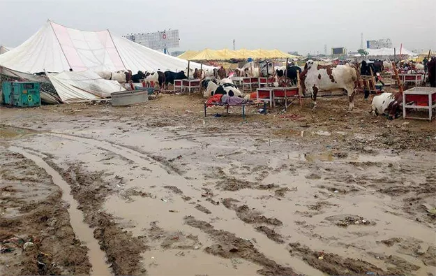 around 10 heavy duty suction pumps and bowsers are currently being used in the market to drain out the inundated water photo inp around 10 heavy duty suction pumps and bowsers are currently being used in the market to drain out the inundated water photo inp