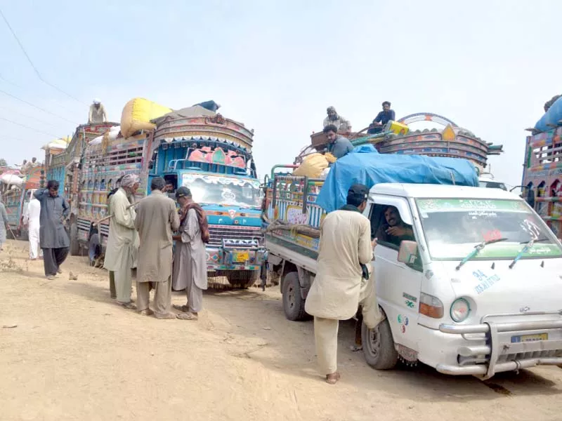 a worker collects the entry fee from a pickup at sector i 12 cattle market photo mudassar raja express a worker collects the entry fee from a pickup at sector i 12 cattle market photo mudassar raja express