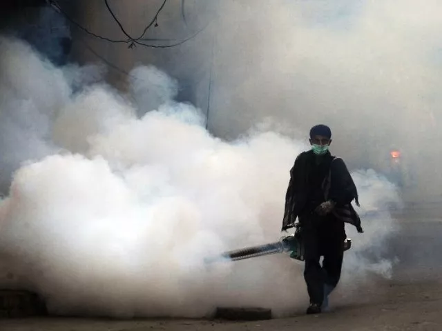 at least 69 fresh cases of dengue were confirmed in peshawar on wednesday photo file at least 69 fresh cases of dengue were confirmed in peshawar on wednesday photo file