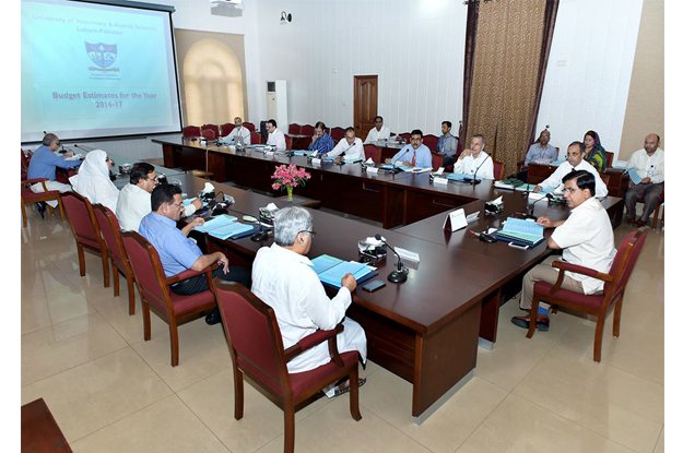 uvas vice chancellor talat naseer pasha chairing a meeting photo express