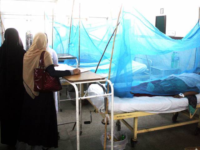 isolation wards have also been set up where all dengue infected patients photo express