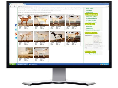 sale of sacrificial animals goes digital sale of sacrificial animals goes digital
