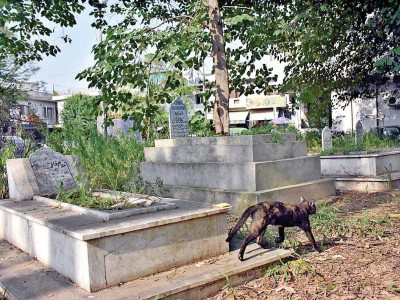 the dead at war with the living in islamabad