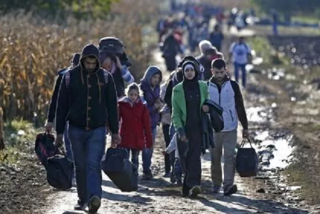 migrants carry their belongings as they walk to cross the border into croatia near sid serbia october 2 2015 photo reuters dado ruvic migrants carry their belongings as they walk to cross the border into croatia near sid serbia october 2 2015 photo reuters dado ruvic