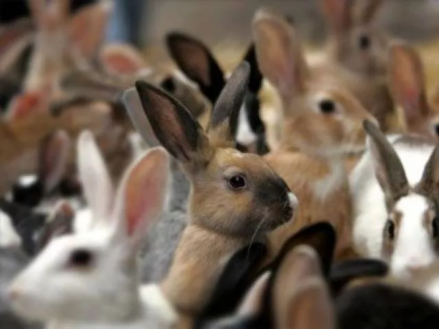photo reuters photo reuters