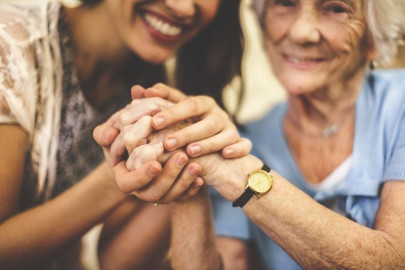 human stem cells restore mobility in parkinson s monkeys study human stem cells restore mobility in parkinson s monkeys study