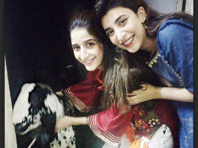 eidul azha mubarak celebs wish of joy peace eidul azha mubarak celebs wish of joy peace