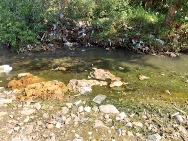 people have dumped offal of sacrificial animals in streams photo express people have dumped offal of sacrificial animals in streams photo express