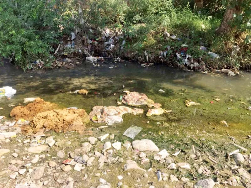 people have dumped offal of sacrificial animals in streams photo express people have dumped offal of sacrificial animals in streams photo express