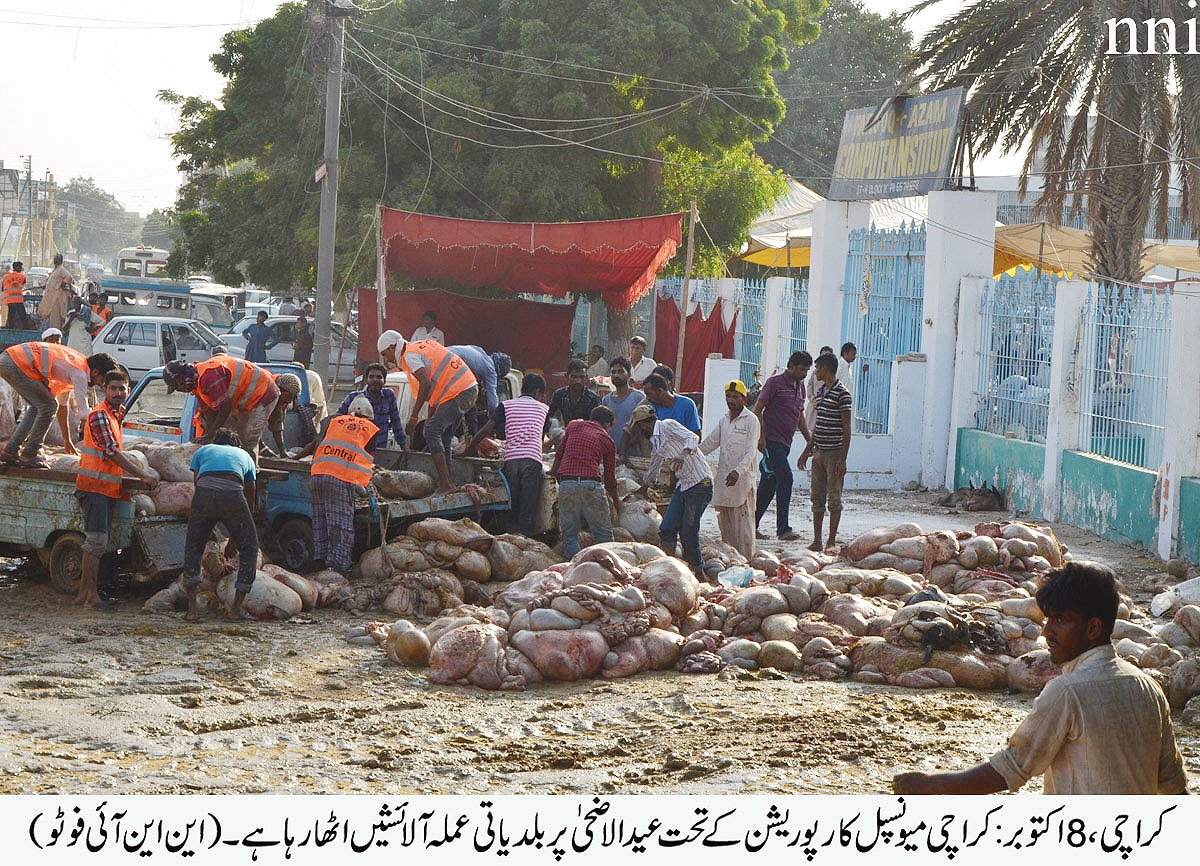 kmc workers remove offals from a road side photo nni