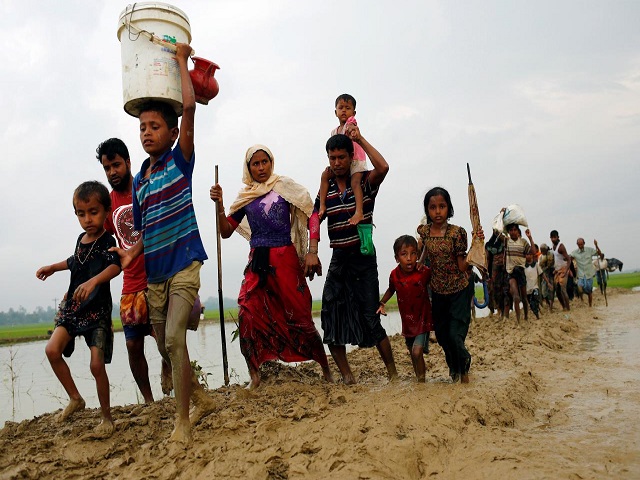 rohingya refugees walk on the muddy path after crossing the bangladesh myanmar border in teknaf bangladesh september 3 2017 photo reuters