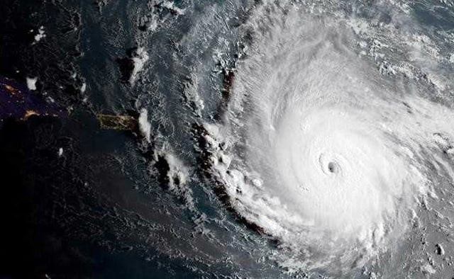 representational image reuters