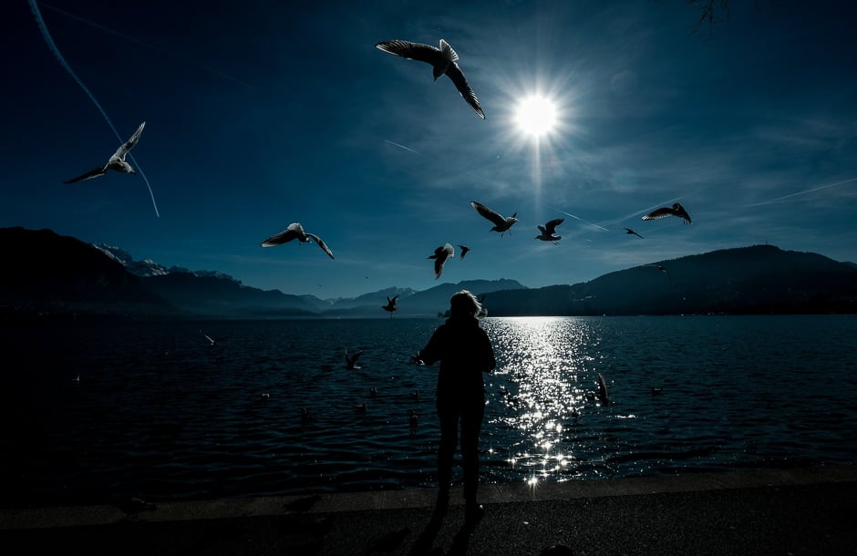 A woman feeds seagulls on the embankment of Lake Annecy in Annecy, some 35 kilometres south of Geneva. PHOTO: AFP