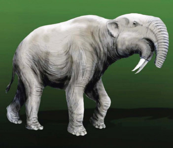 14m year old fossils of terrible beast 14m year old fossils of terrible beast